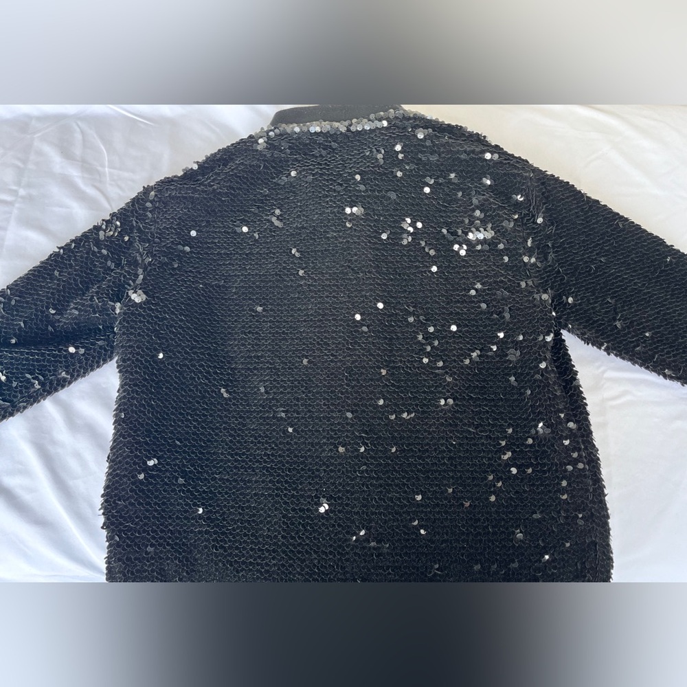 ZARA | Velvet Sequinned Bomber Jacket - Picture 9 of 16